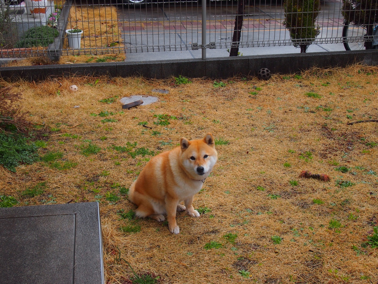 九游电竞官网-_灯光秀点亮运动场：节日体育盛典精彩纷呈_，体育馆灯光秀